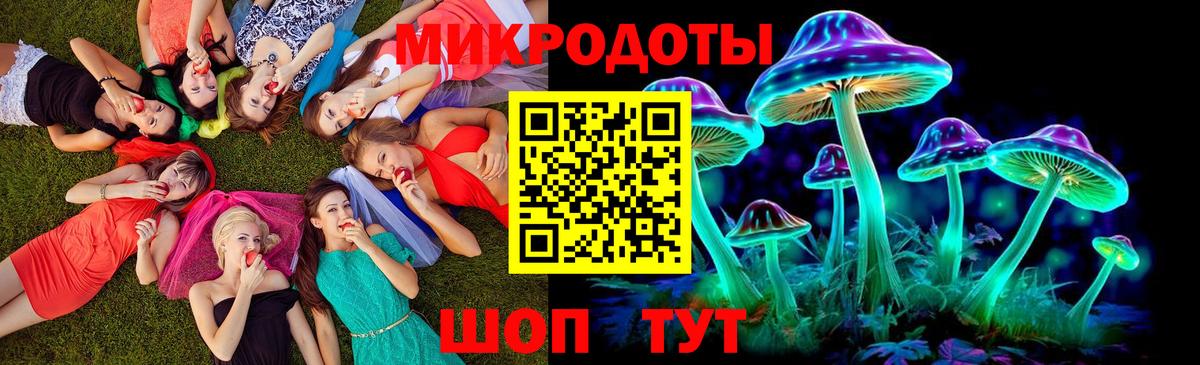хочу   Вход с VPN  Верхний Уфалей  Галлюциногенные грибы MAGIC MUSHROOMS 